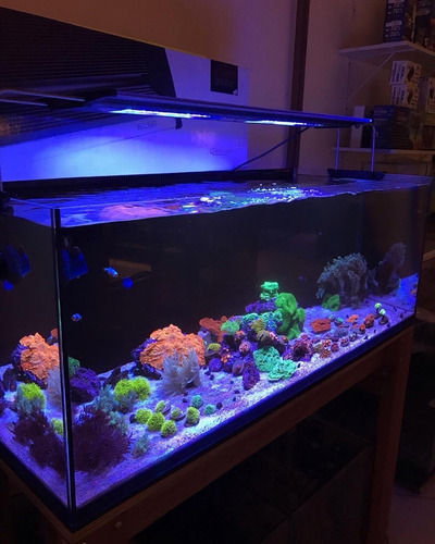 Imagem 10 de 10 de Aquario + Móvel 270l 120x50x45 Pronta Entrega Aquaproject