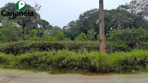 Imagem 8 de 12 de Terreno Com 2.250 M² (chácara) Localizado No Parque Náutico, Cananéia, Litoral Sul De Sp - Te00096 - 70531411