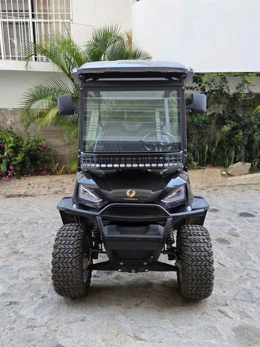 Carro Tipo Buggy De 4 Pasajeros