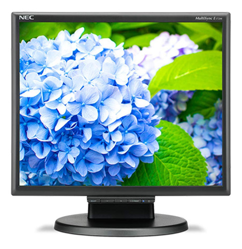 Monitor Lcd Nec E172m-bk 17 Clase Sxga En Negro