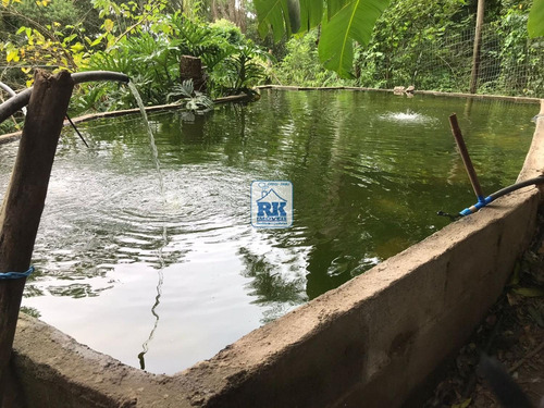 Imagem 28 de 30 de Chácara À Venda Em Vargem Do Bom Jesus - Ch008530
