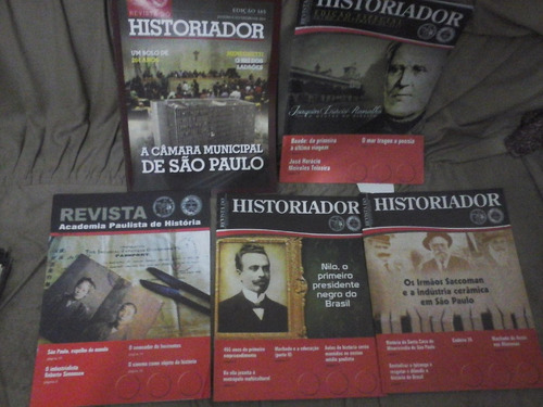 Lote  19 Revistas Do Historiador A Industria Ceramica Em Sp