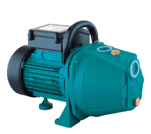 Bomba D'agua Autoaspirante Lepono Xkj-1100l 1,5cv 45 Metros