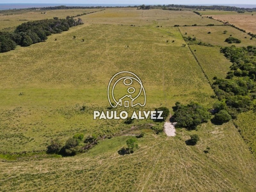 Chacras-venta-punta-negra-ch3029