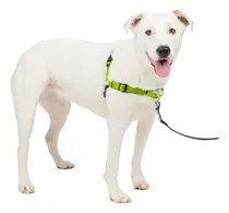 Comprar Arnés De Adiestramiento Anti Tirones Para Perros Talla M\u002Fl