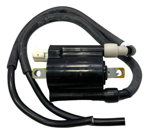 Bobina De Alta Pulsar Ns200 Doble + Envío