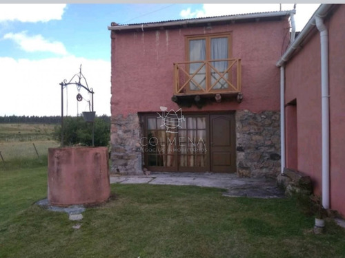 Imagen 6 de 16 de Campo 35 Has En Los Caracoles - San Carlos
