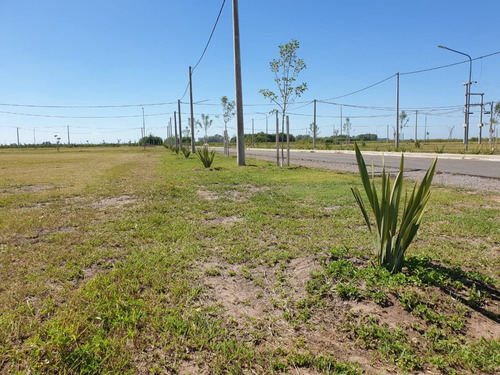 Vendo Terreno En Villa Amelia - Pronta Entrega De Posesión