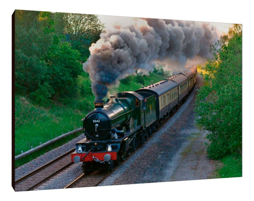 Cuadros Poster Trenes Vias Xl 33x48 (tnes (13))