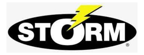 Isca Artificial Fundo Storm Deep Thunder 11cm 28g 6m Cor 457