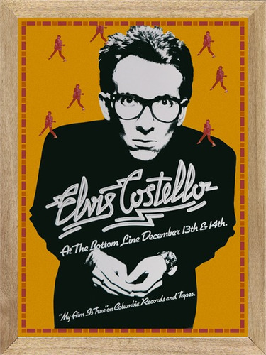 Elvis Costello , Cuadro, Música, Poster        P499