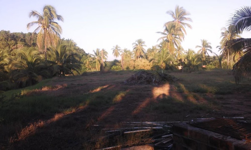 Imagen 10 de 14 de Terreno En Venta Las Brisas