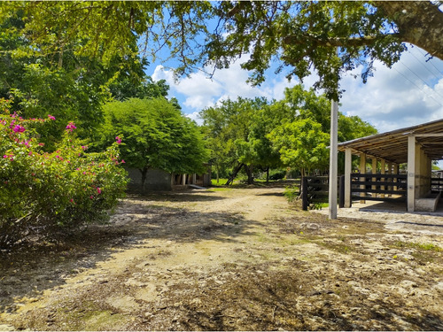 Rancho Ganadero En Venta, Propiedad Privada, 453 Has, Con Cenotes
