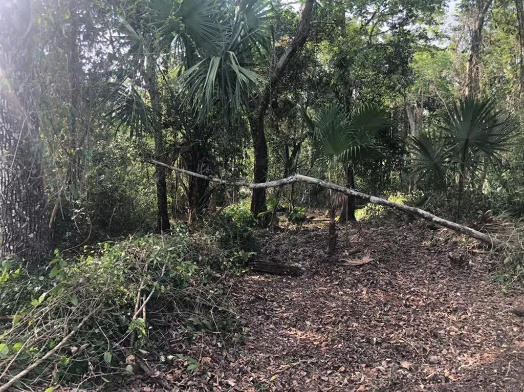 Vendo Terreno Cerca De Puerto Morelos, Quintana Roo.