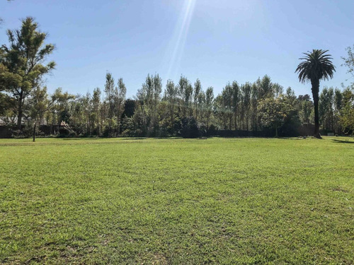 Imagen 13 de 15 de Venta Hermosa Quinta Sobre Amplio Lote En Chacras De Canning
