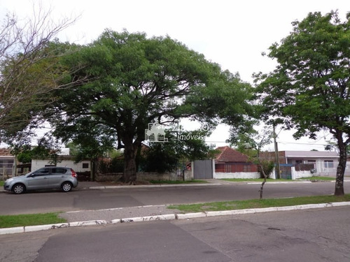 Imagem 1 de 13 de Terreno Na Av. Liberdade! - M8334