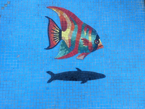 Imagen 2 de 10 de Figura Mosaico Pez Payaso 0.25 Cms.con Sombra Para Alberca