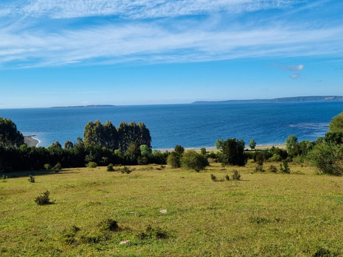 Hermosas Parcelas Frente A Playa En Isla Tranqui Chiloé