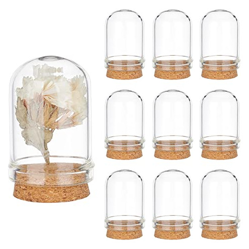 Ph Pandahall 10pcs Cloche Bell Jar, Glass Display 4b5sw