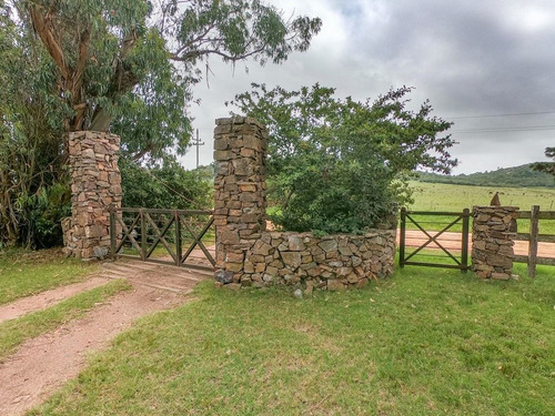 Chacra En La Pataia, Punta Ballena