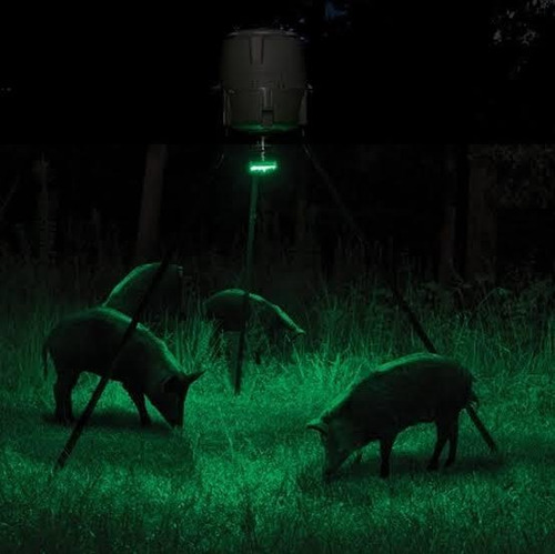 Moultrie Luz Verde Alimentador Caça Javali.