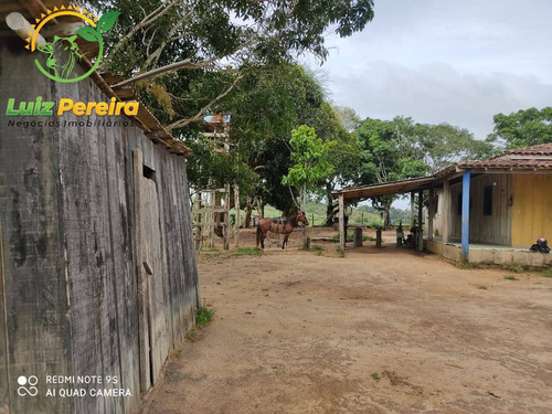 Imagem 9 de 15 de Fazenda À Venda Em Jacunda - Pa - 1.258,4 Hectares (dupla Aptidão) - 2032