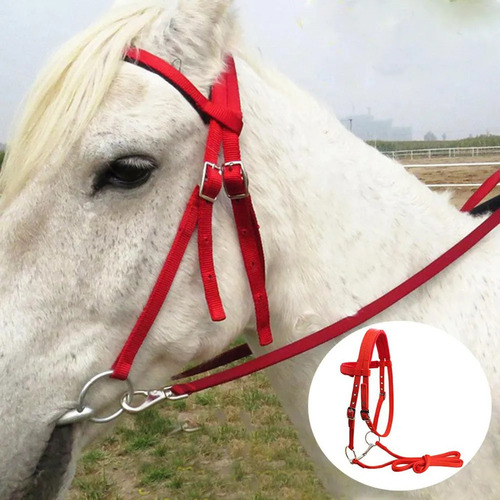 Cabezal De Rienda De Nailon J Brida De Para Montar A Caballo