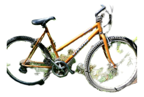 Bicicleta Visson