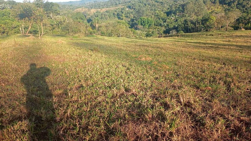 Imagem 2 de 9 de V11-sua Terra Direto Com Proprietario