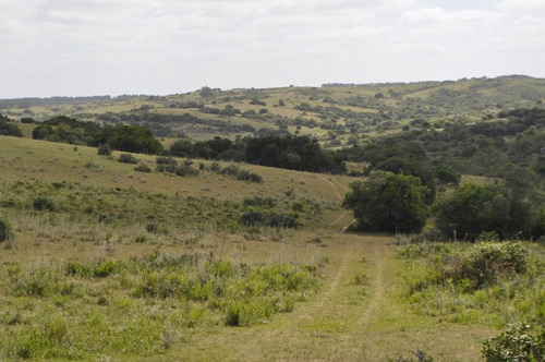 Venta De Chacras De 5 Has Se Ubicado En Garzon - Ref: 2962