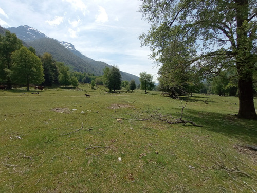 Terreno Cerca Reserva Nacional Malleco, 6.100 Mt2