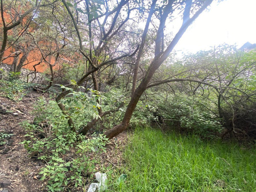 Terreno En Venta En Héroes De Padierna, Tlalpan