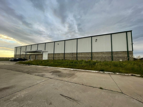 Imagen 14 de 30 de Fracción Industrial 26 Ha. Galpón 12.800 M² Cub. - Carlos Spegazzini