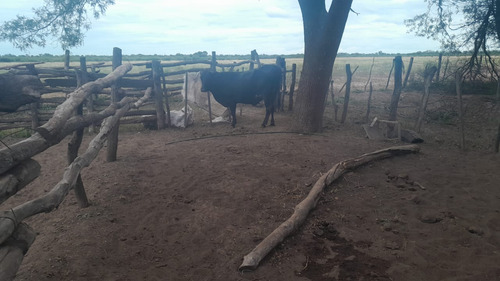 Vendo Finca En Tolloche (recibo Permutas)