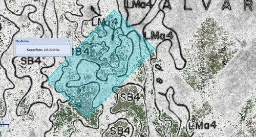 Imagen 2 de 2 de Campo - Mechongue