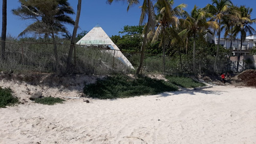 Terreno Con Frente De Playa En El Corazón De Playa Del Carmen