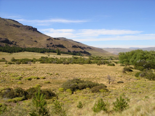 Imagen 24 de 30 de Campo En Venta Zona Alumine, Neuquén
