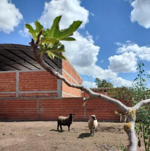 Lote En Venta En La Plata.