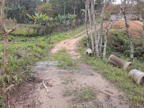 Imagem 23 de 28 de Terreno - Te00030 - 68403756