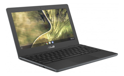 Laptop Asus Chromebook C204 11.6hd Celeron N4020 4gb 32g /v Color Negro