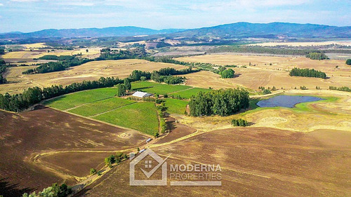 Campo 964 Ha. Con Uva, Forestal Y Forraje