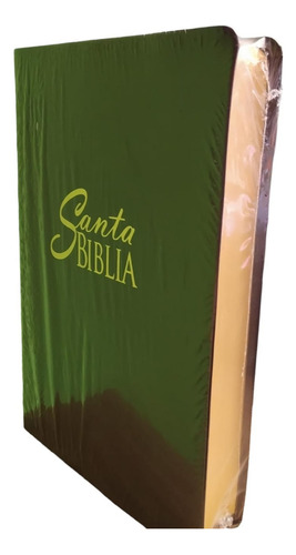 Biblia Reina Valera 1960 Letra Grande 12 Puntos