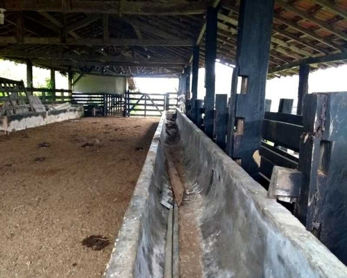 Imagem 11 de 30 de Fazenda - 0132 - 32820420