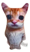 Comprar Brinquedo De Pelúcia Gato El Gato Gato El Gato Recheado Gato