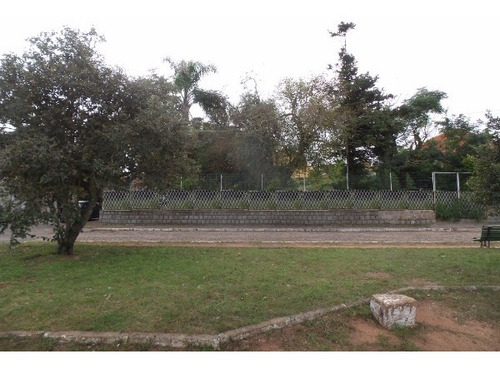 Imagem 2 de 6 de Terreno - Ipanema - Ref: 238794 - V-mi12504