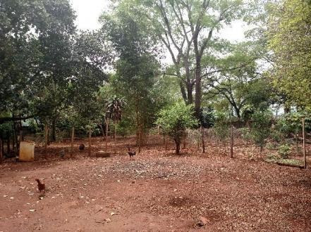 Chácara Com 6 Dormitórios À Venda, 5000 M² Por R$ 750.000,00 - Condomínio Balneário Recreativa - Ribeirão Preto/sp - Ch0013