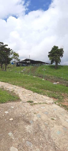 Imagen 27 de 27 de Finca En Venta Chiguará