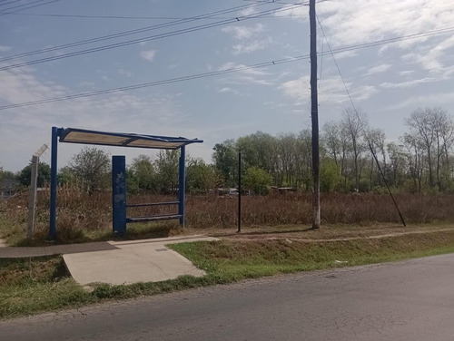 Imagen 3 de 6 de Se Vende Hectárea En Pilar, Por La Entrada De Casuarinas
