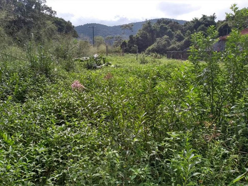 Imagem 2 de 2 de Terreno - Venda - Suarao - Itanhaem - Ita2053