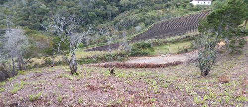 Lote En Venta Municipio San Vicente Ferrer Antioquia